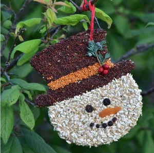 Frosty Bird Seed Christmas Cookie