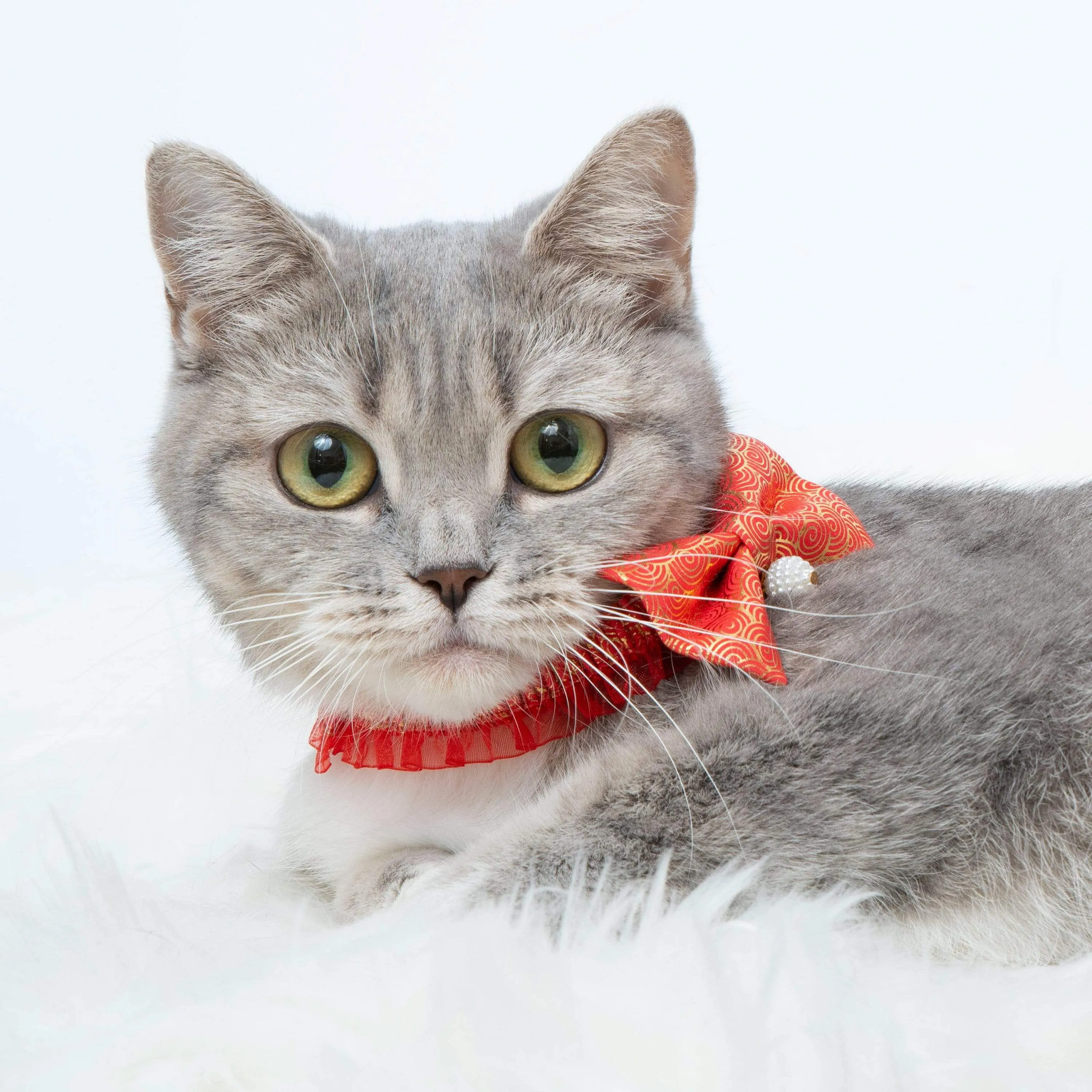 Lucky Clouds Bowtie Cat Collar with Pearl