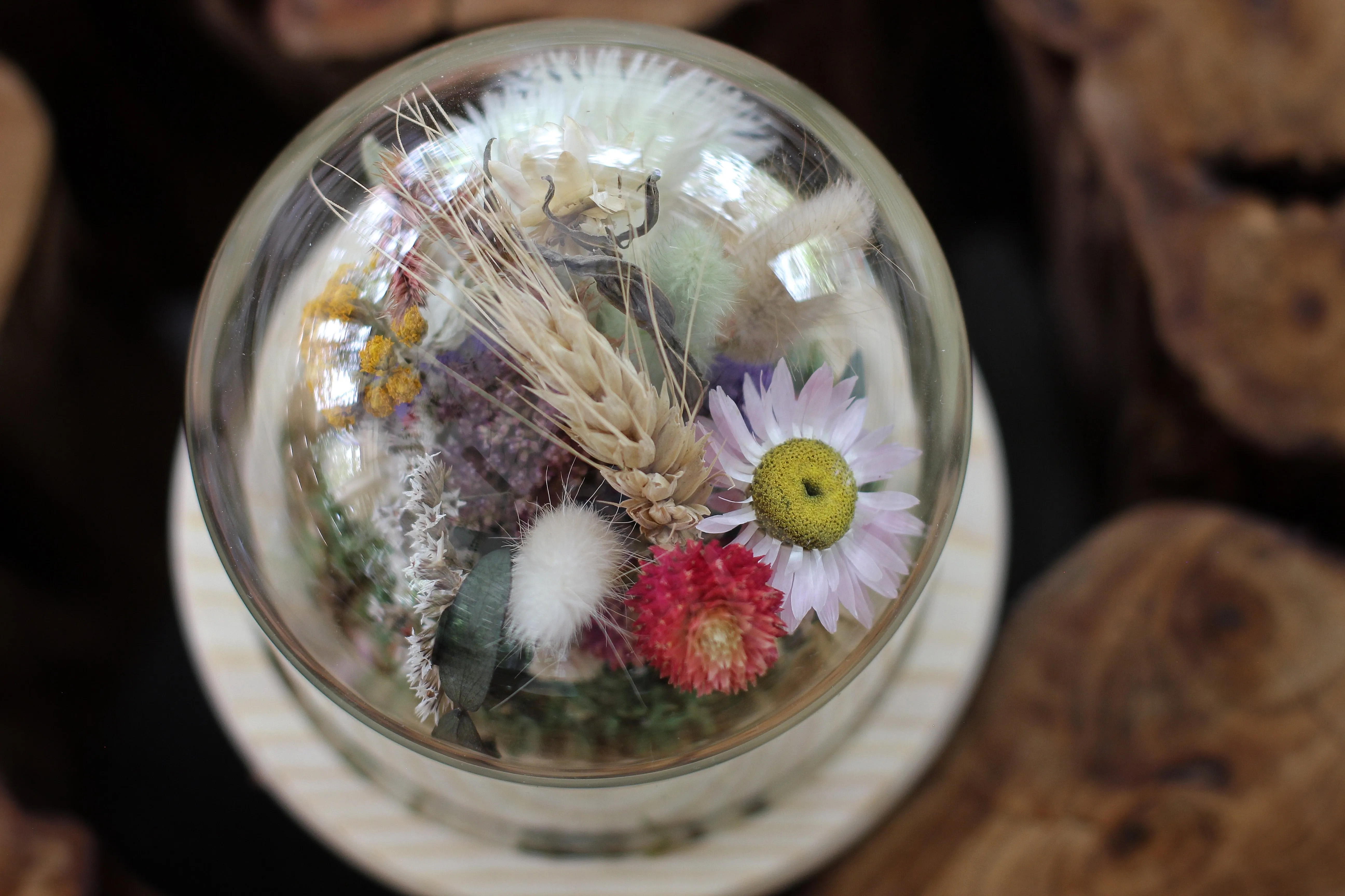 Medium Dried Flowers Glass Dome / Cloche