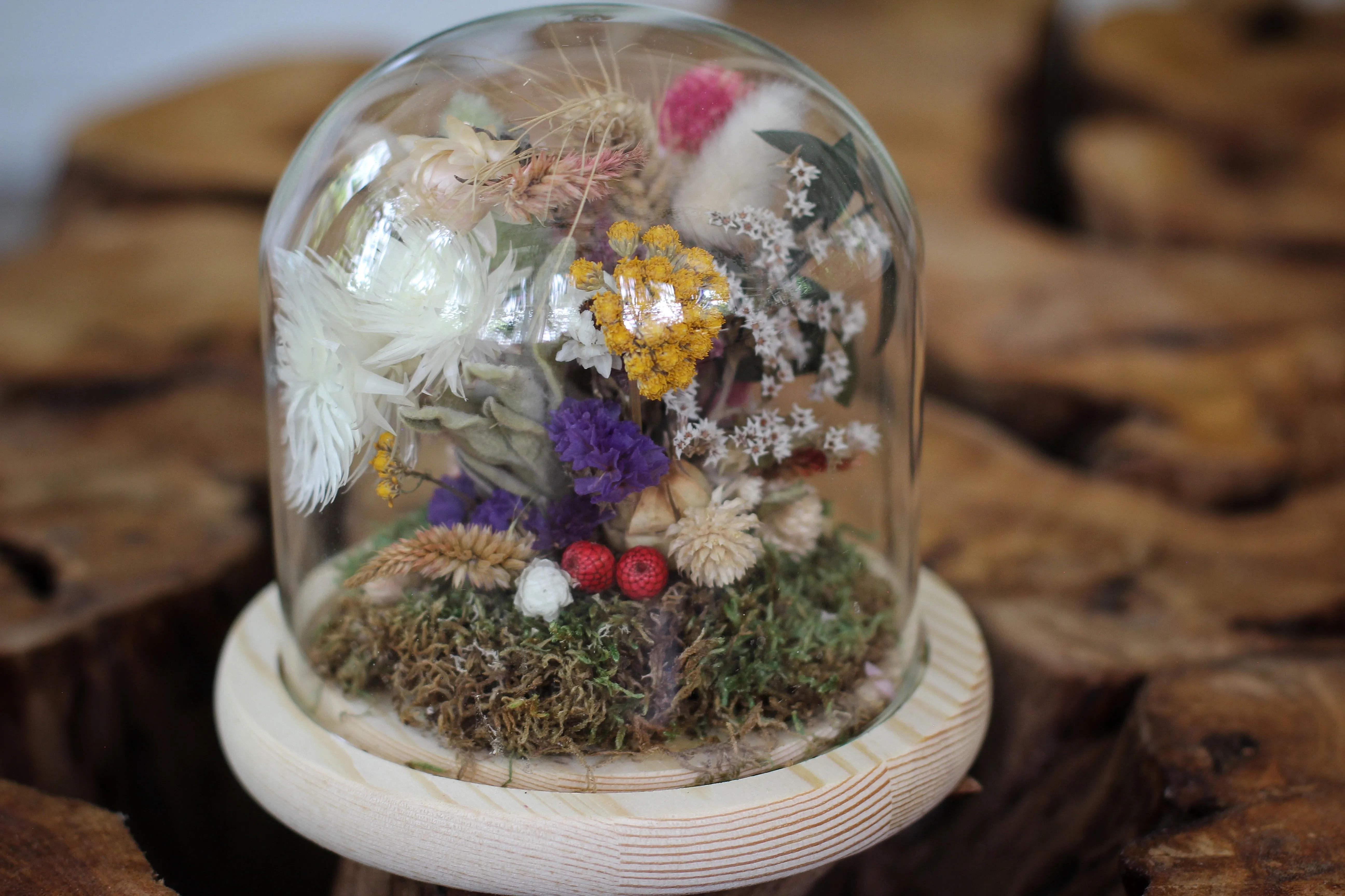 Medium Dried Flowers Glass Dome / Cloche