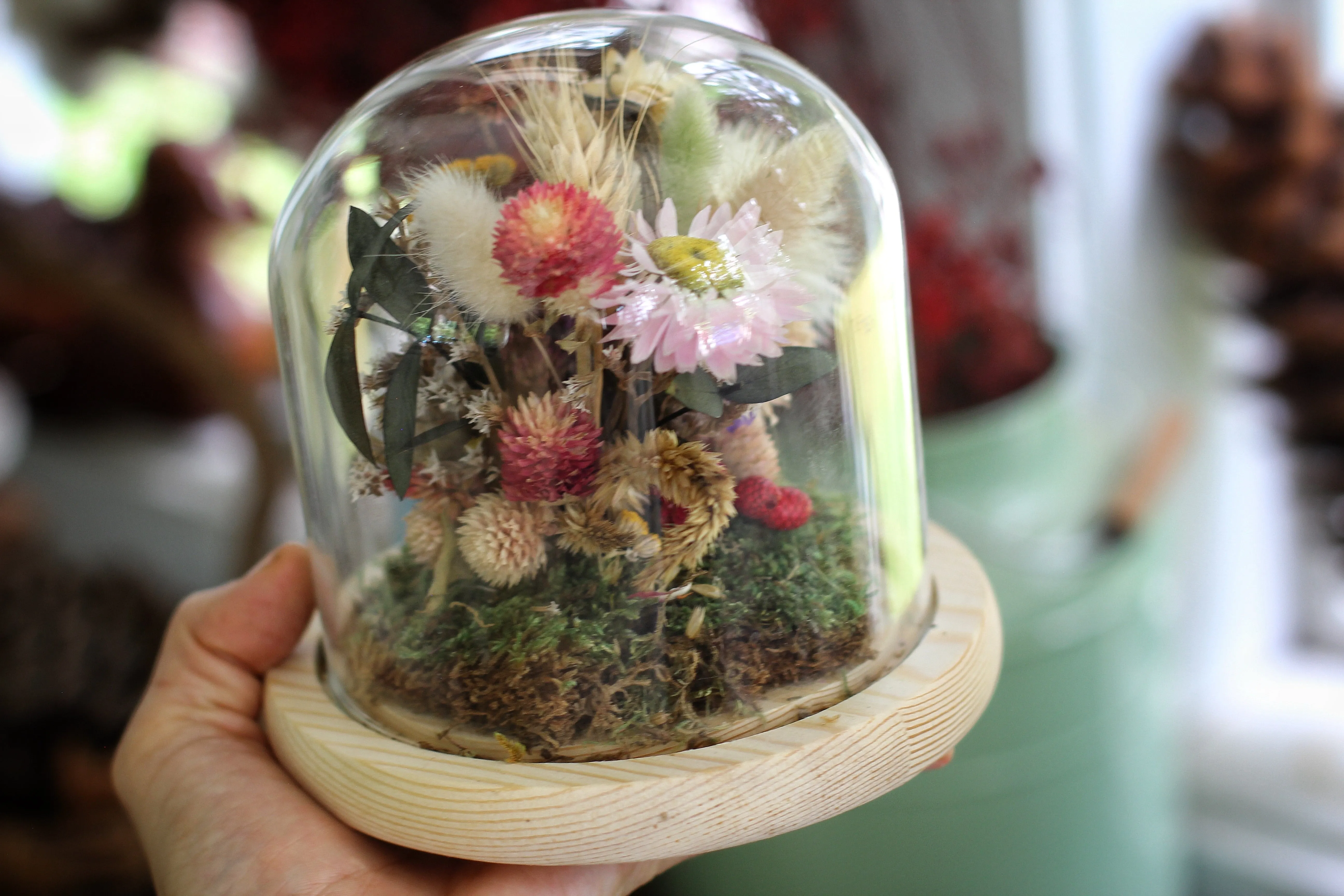 Medium Dried Flowers Glass Dome / Cloche