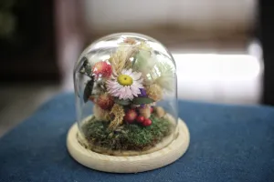 Medium Dried Flowers Glass Dome / Cloche