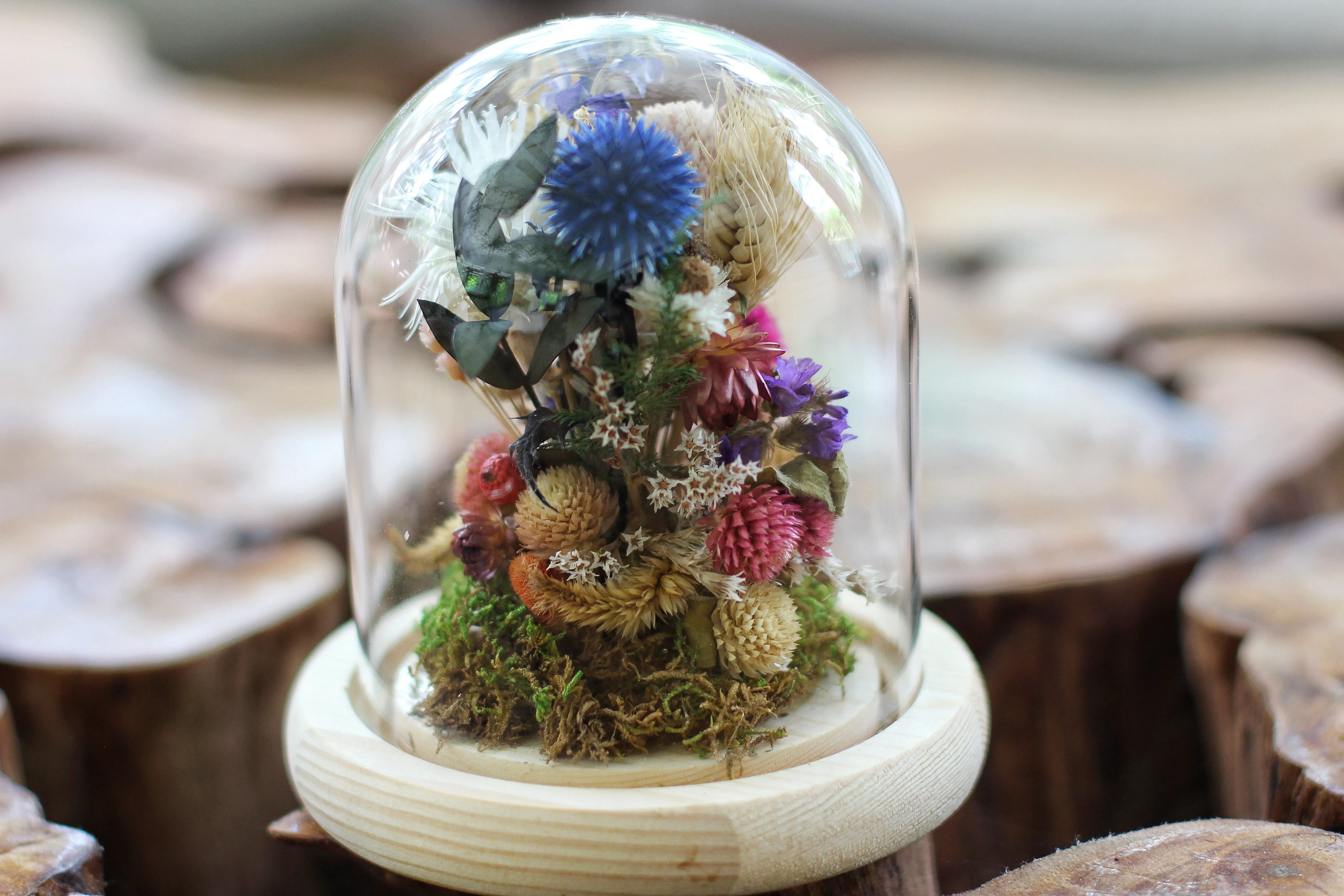 Medium / Small Dried Flowers Glass Dome / Cloche