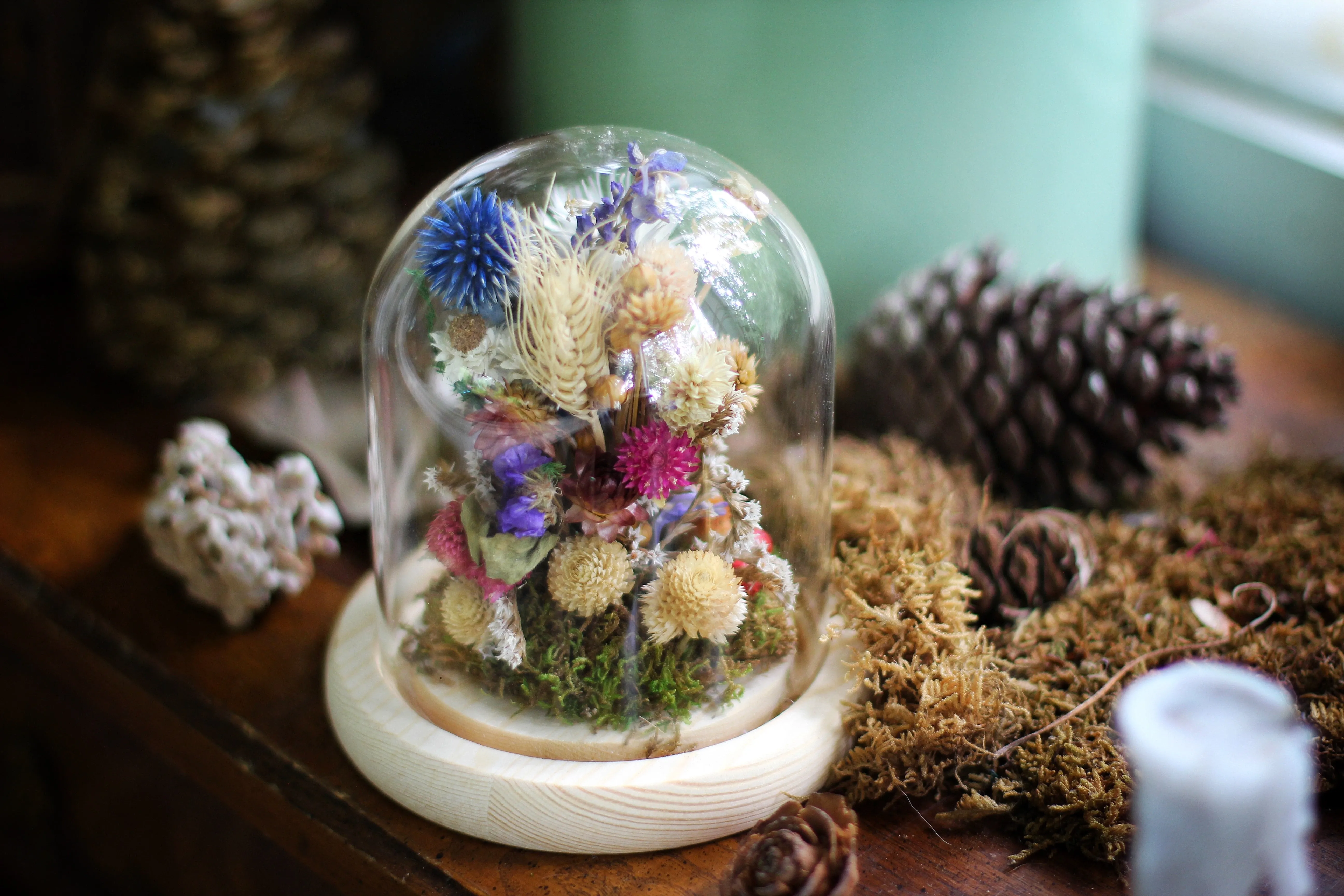 Medium / Small Dried Flowers Glass Dome / Cloche