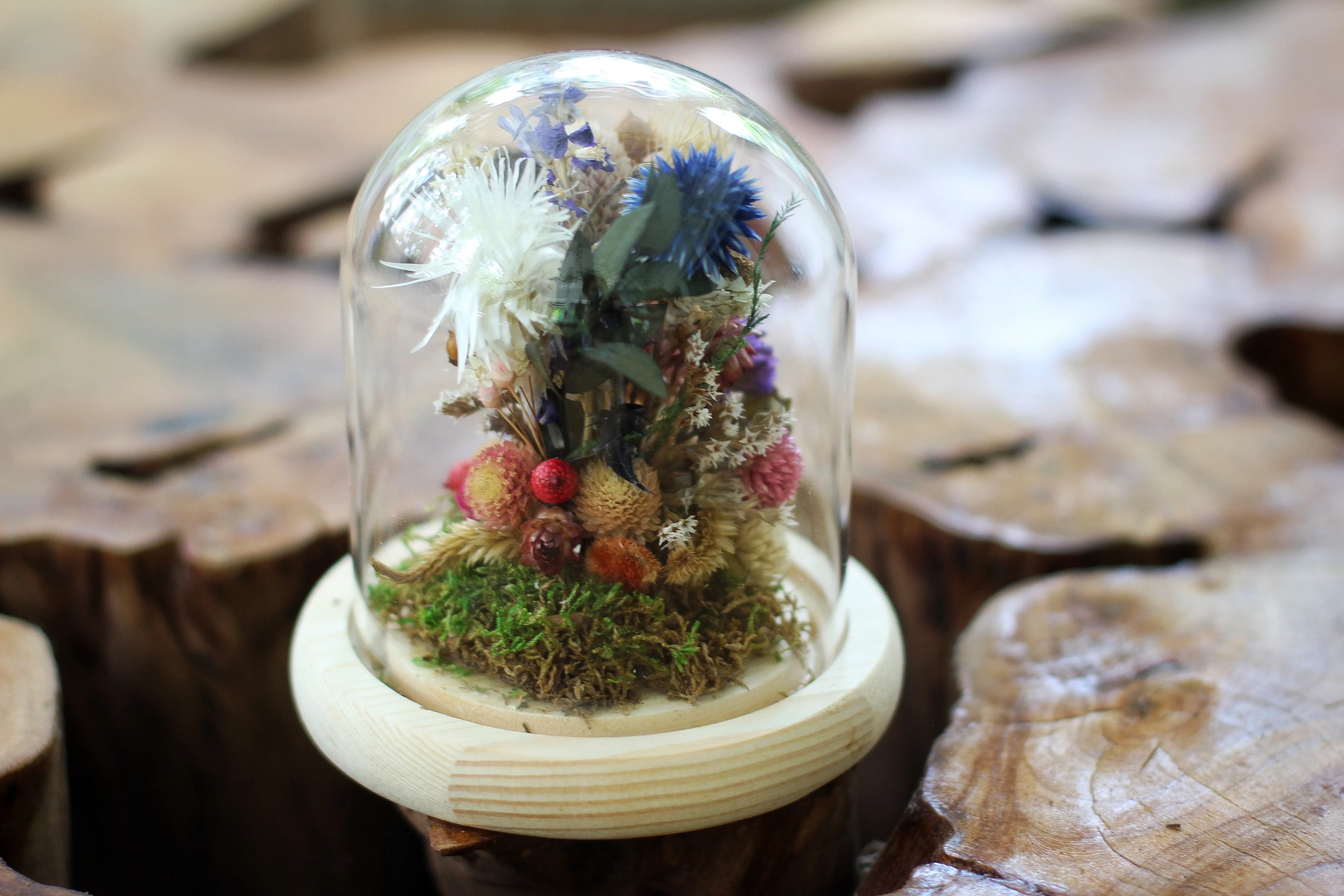 Medium / Small Dried Flowers Glass Dome / Cloche