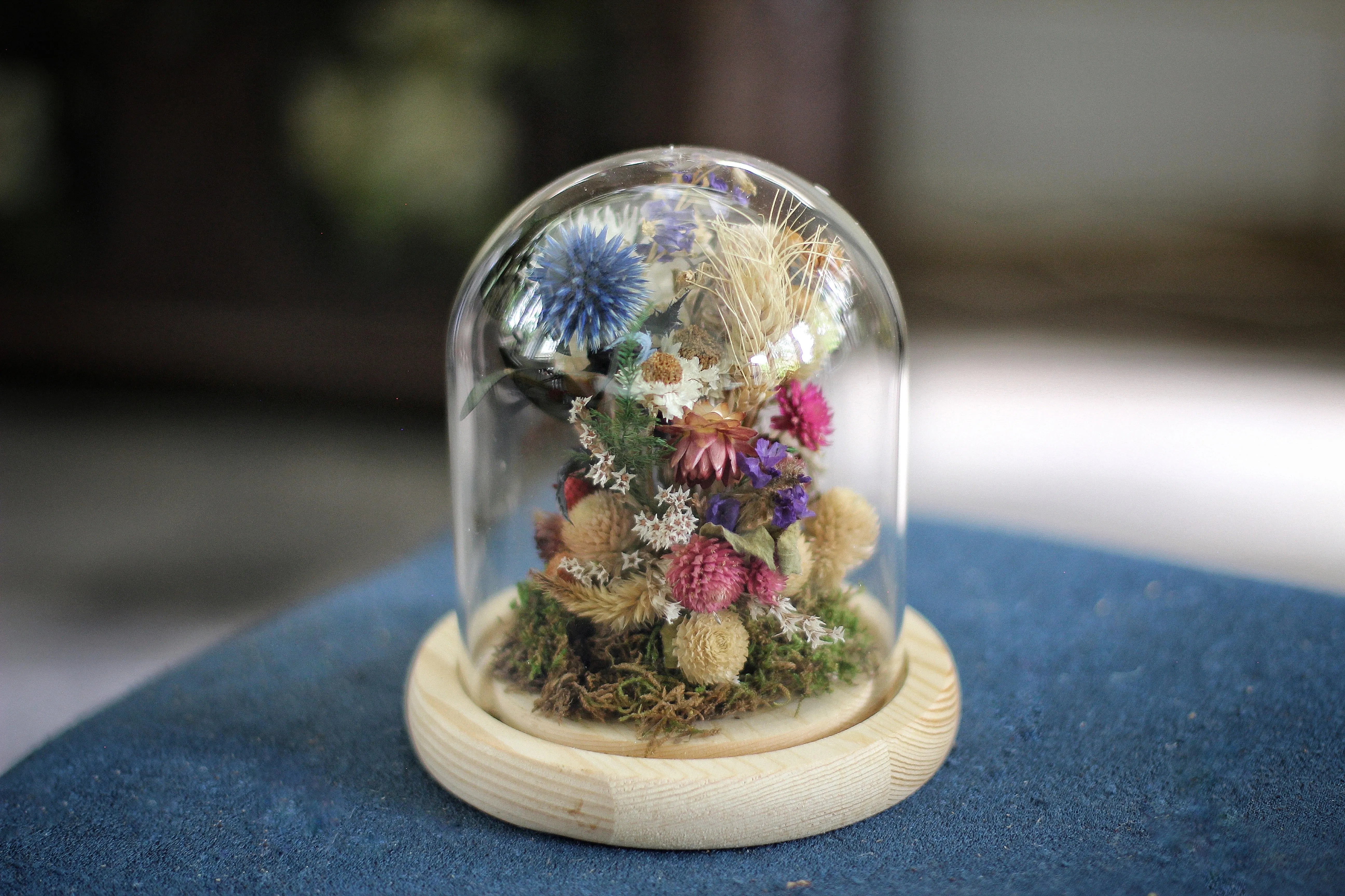 Medium / Small Dried Flowers Glass Dome / Cloche