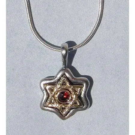 Michael Bromberg Silver and 14K Gold Star of David with Garnet