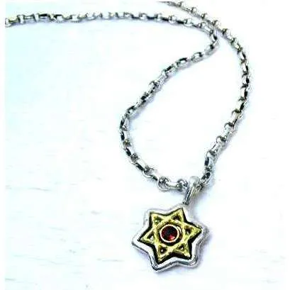 Michael Bromberg Silver and 14K Gold Star of David with Garnet