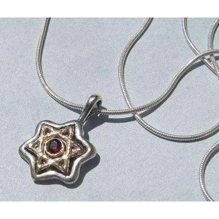 Michael Bromberg Silver and 14K Gold Star of David with Garnet