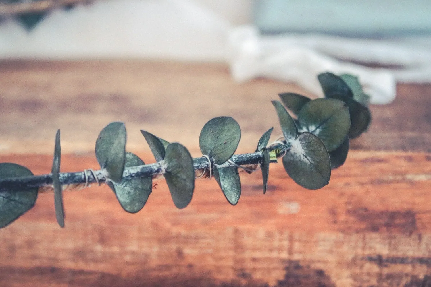 Real Dried Eucalyptus Crown, Greenery Crown, Leaf Crown, floral crown, bridal flower crown, bridal crown, wedding crown