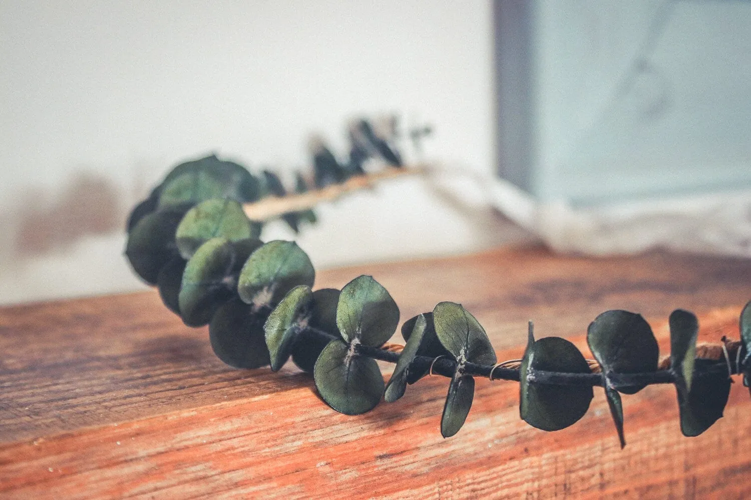 Real Dried Eucalyptus Crown, Greenery Crown, Leaf Crown, floral crown, bridal flower crown, bridal crown, wedding crown